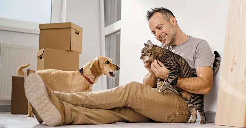 Comment bien déménager avec un chat ou un chien ?