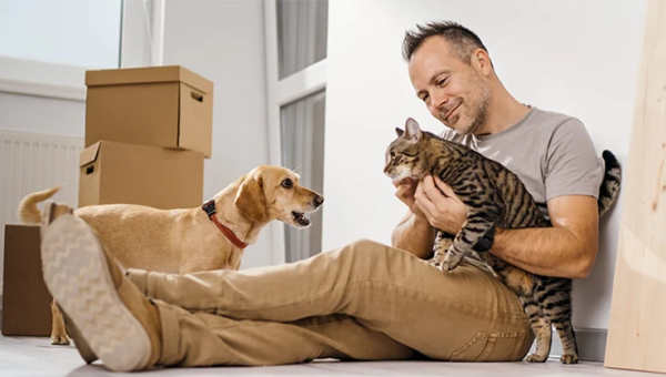 Comment bien déménager avec un chat ou un chien ?